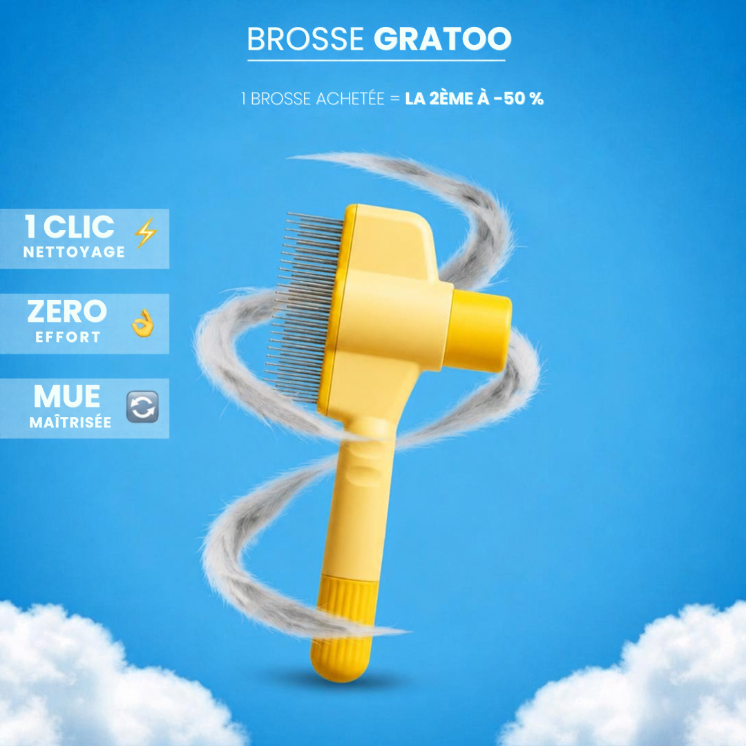 Brosse Anti-Poils Gratoo