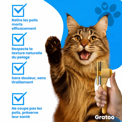 Brosse Anti-Poils Gratoo