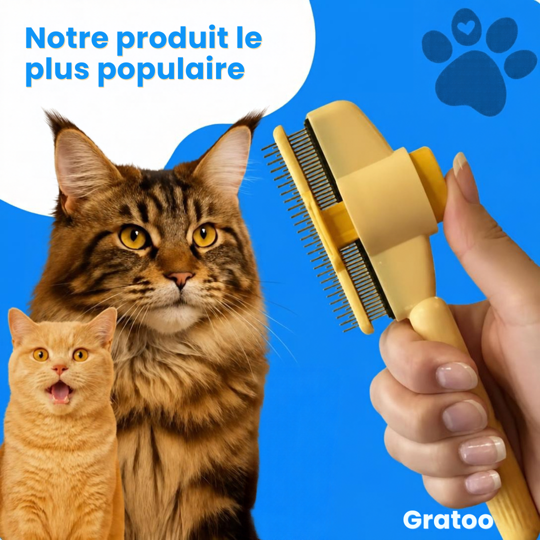 Brosse Anti-Poils Gratoo
