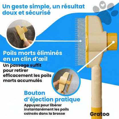 Brosse Anti-Poils Gratoo