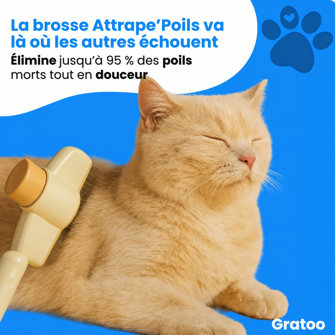 Brosse Anti-Poils Gratoo